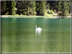 foto Lago di Dobbiaco